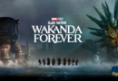 Black Panther Wakanda Forever (2022) Sinhala Subtitle