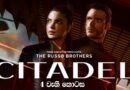 Citadel (2023) 4 වැනි කොටසේ සිංහල උපසිරැසි