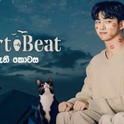 HeartBeat (2023) [S01:E02] Sinhala Subtitle